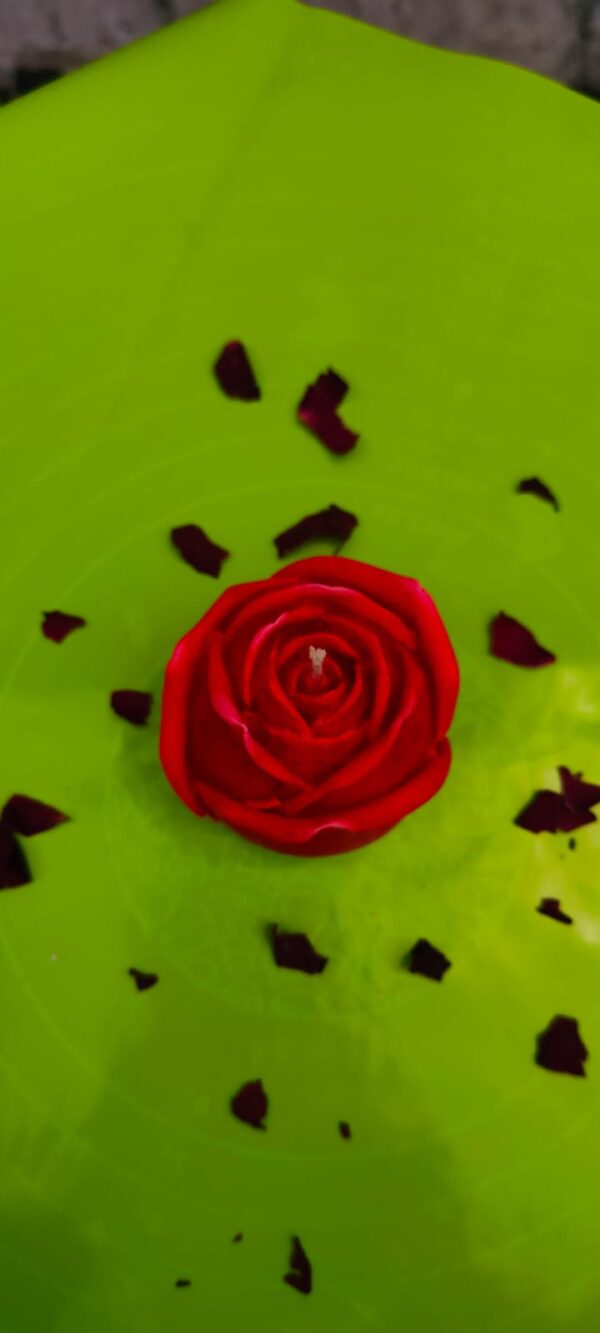 Rose Candle - Image 3