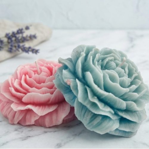 WhatsApp Image 2026-03-25 at 1.11.37 PM