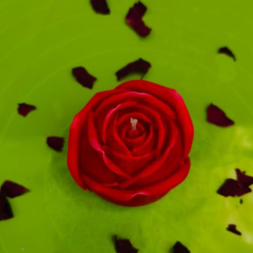 rose